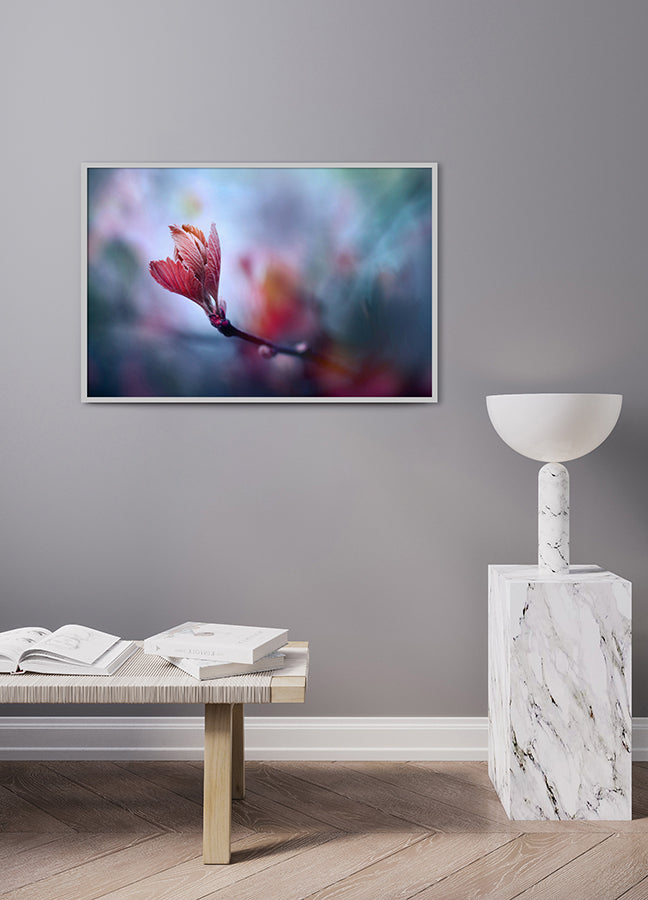 Poster - Prunus