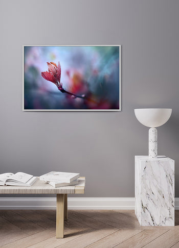 Poster - Prunus