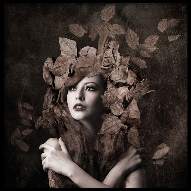 Poster - Leafs and Leaves