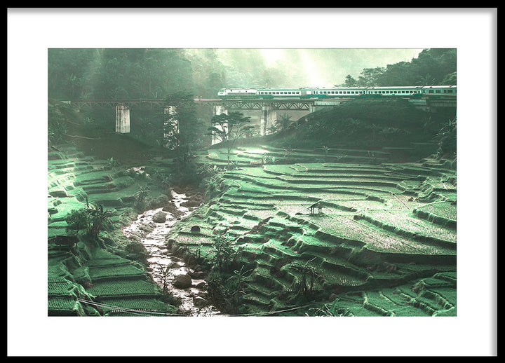 Juliste - Brook