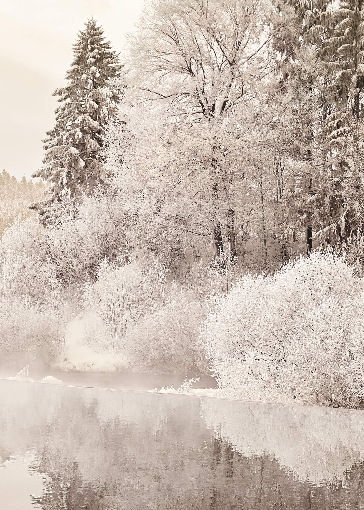 Canvastavla - Trees in Winter