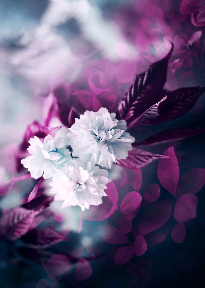 Tavla - Purple and white