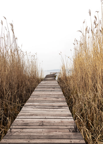 Canvastavla - Autum By The Lake