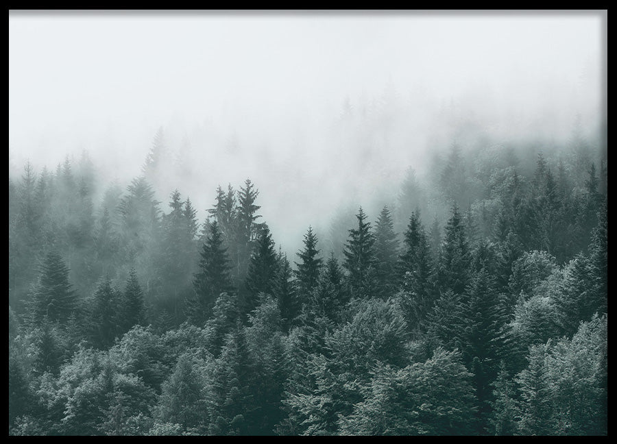 Poster - Mist and Shadows