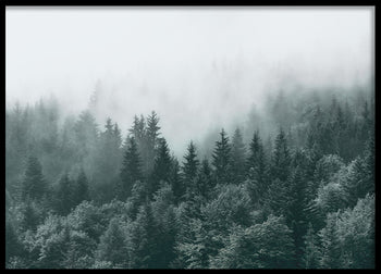Poster - Mist and Shadows