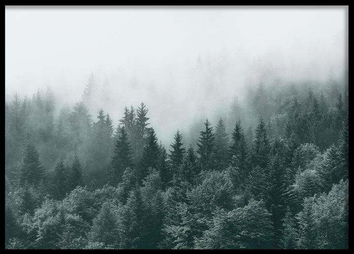 Poster - Mist and Shadows