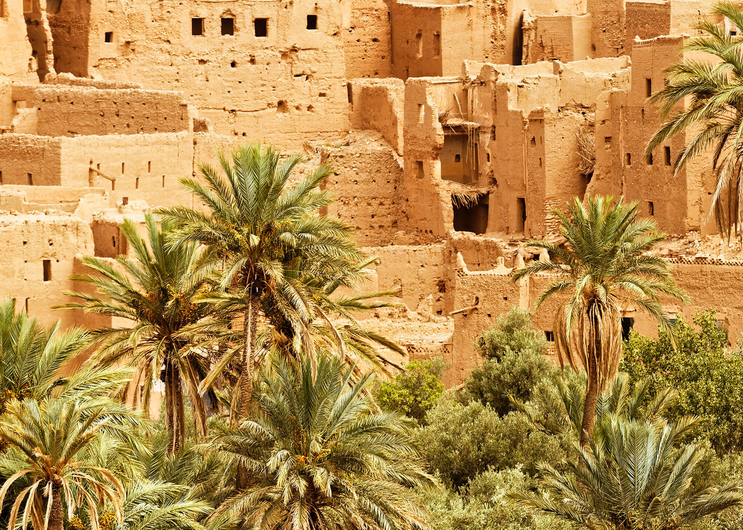 Canvastavla - Morocco dades valley