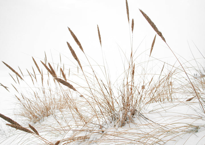 Juliste - Baltic Sea