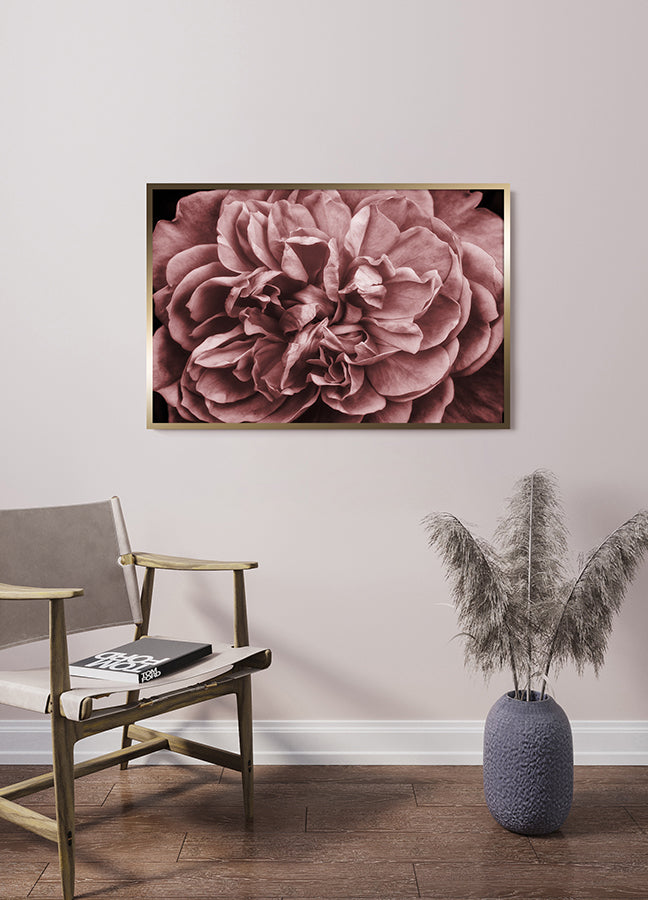 Poster - Pink Roses