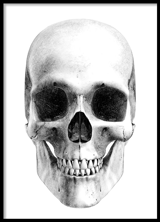 Poster - Skull