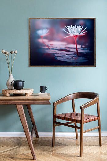 Poster - Pink lotos