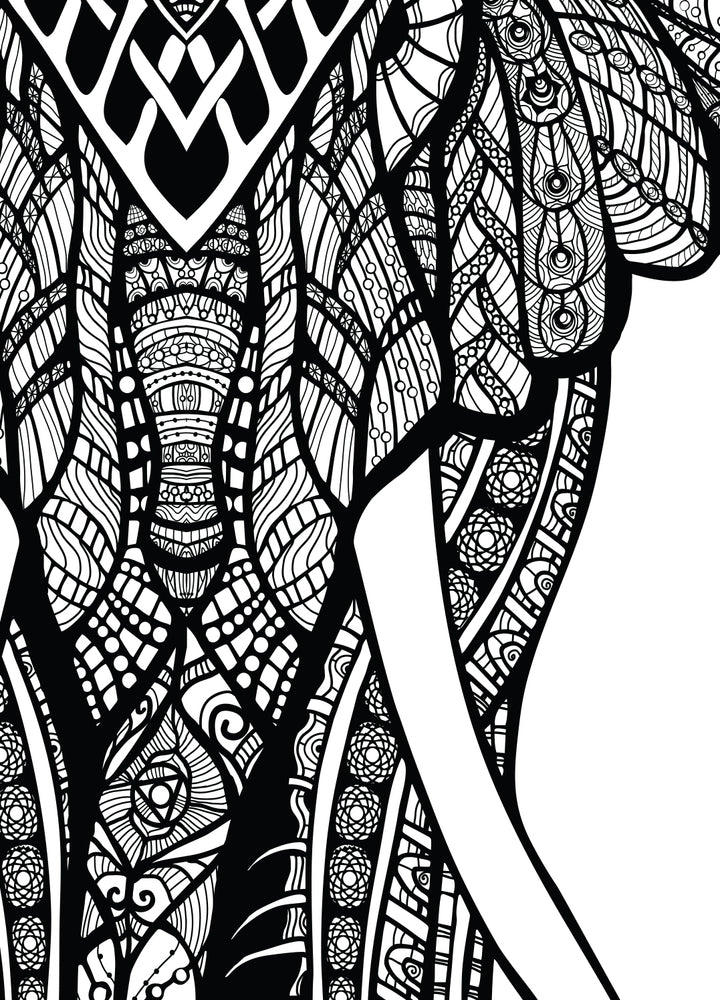 Canvastavla - Elephant black and white