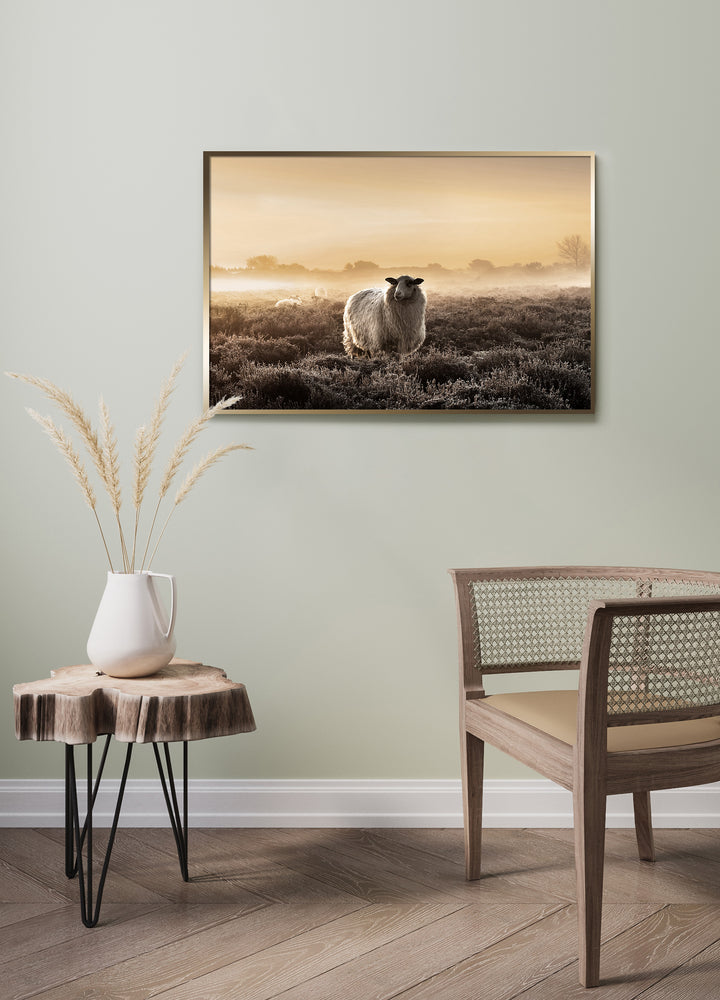Poster - Autumn Morning