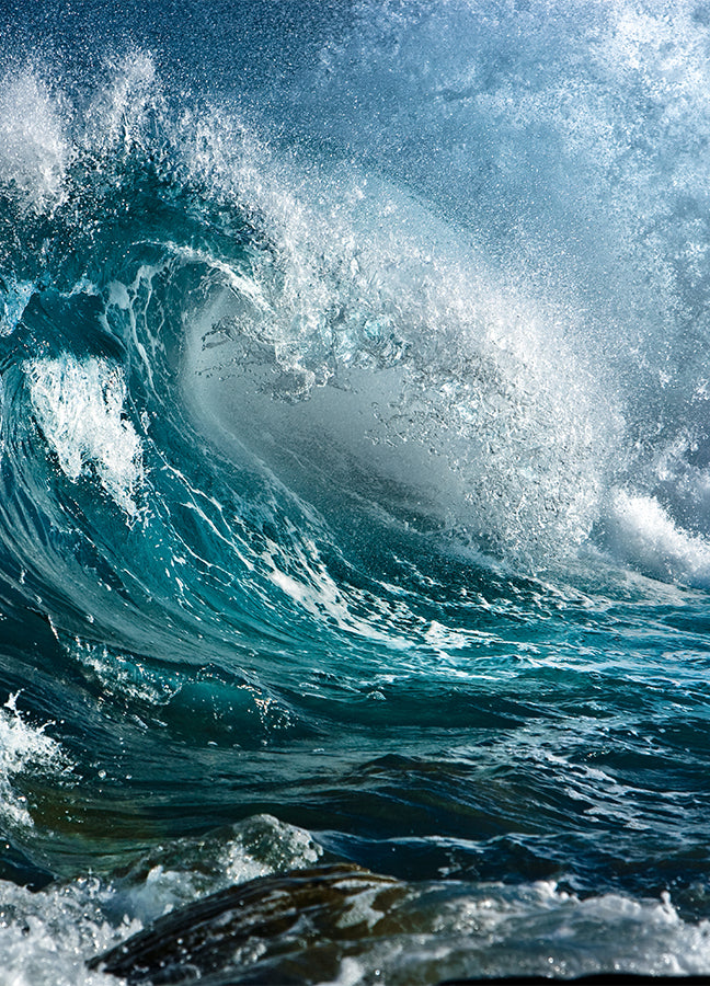 Poster - Sea