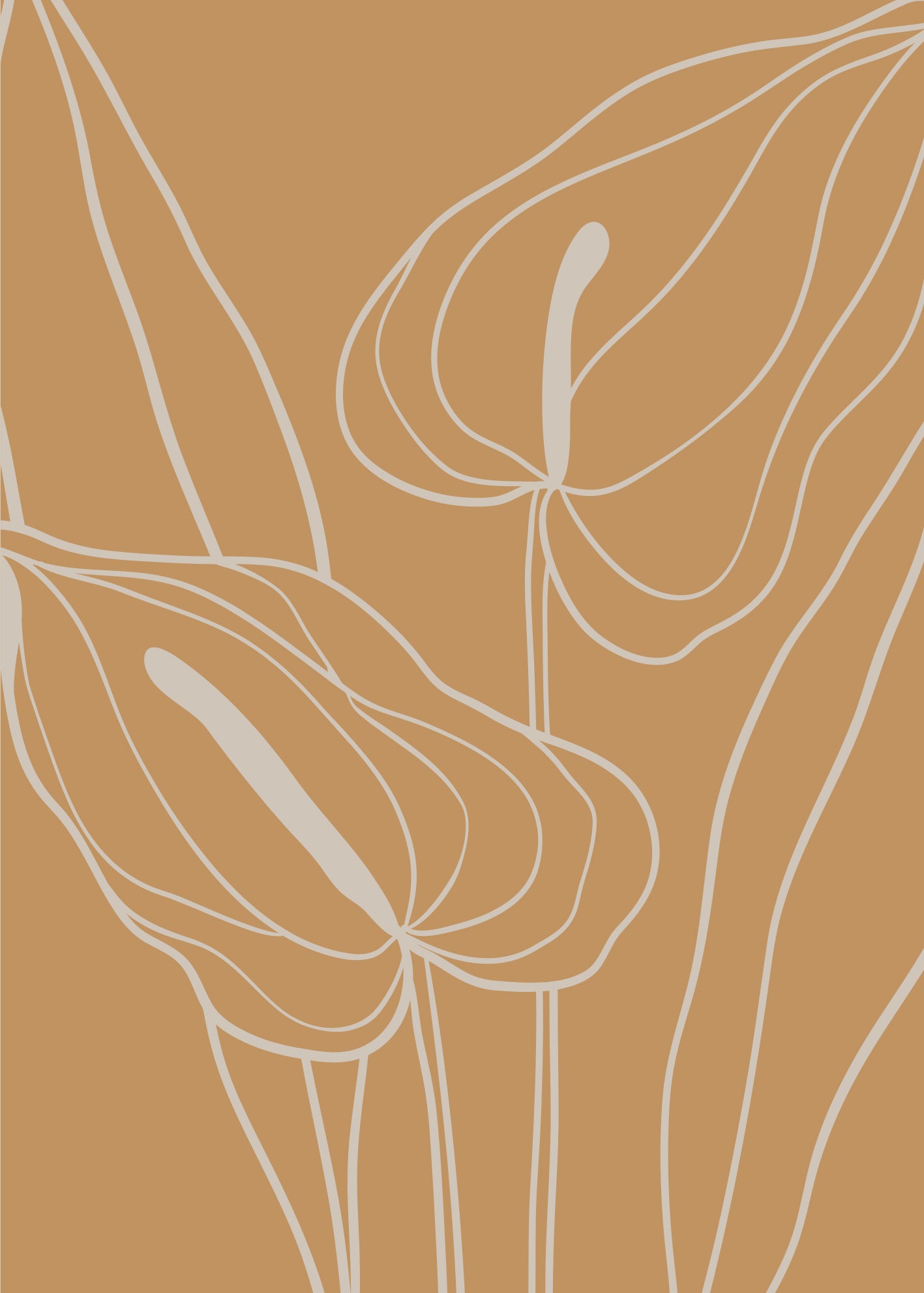 Canvastavla - Bulbous Plants