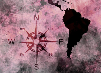 Ljuddämpande tavla - The World Map - Rosa Nyanser