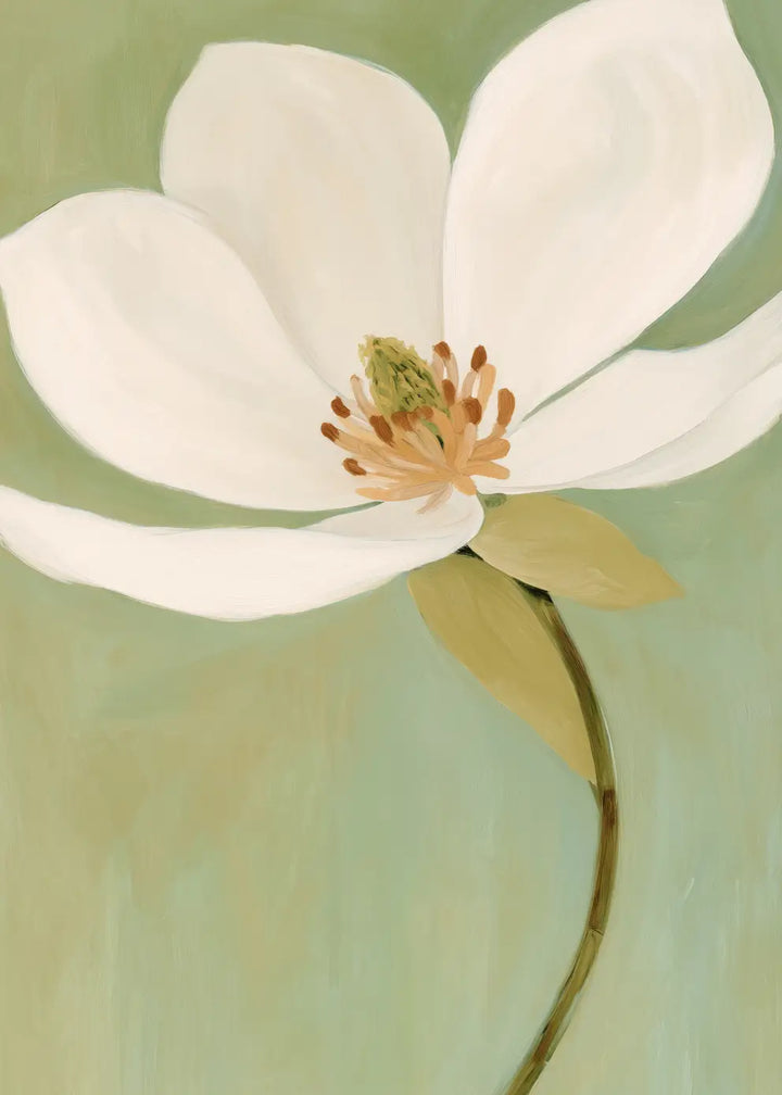 Canvastavla - White Magnolia Bloom