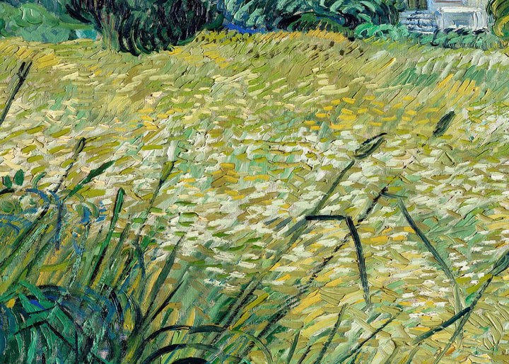 Canvastavla - Green Wheat Field with Cypress